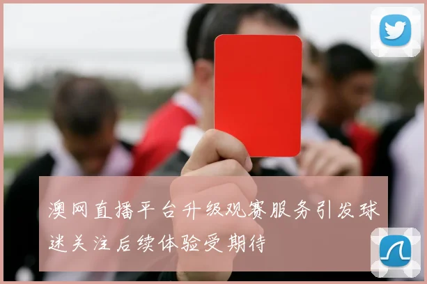 澳网直播平台升级观赛服务引发球迷关注后续体验受期待