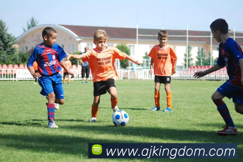 App Interface Preview